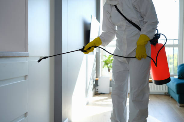 Best Black Mold Removal  in Indiantown, FL